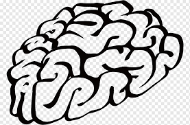 Check spelling or type a new query. Cartoon Brain Png Images Pngwing