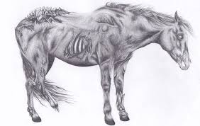 Zombie Horse By Ashleybrowntown On Deviantart Cute Zombie Horse Drawing Eerie Art
