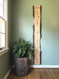 Live Edge Growth Chart Free Ship Growth Chart Ruler