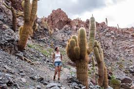 Check spelling or type a new query. Atacama 10 Abenteuer Die Du Einfach Selbst Erleben Musst