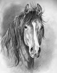 Sha By Theovercoat Deviantart Com On Deviantart Horse Art With A Blaze Paard Tekeningen Dieren Tekenen Paard Schilderij