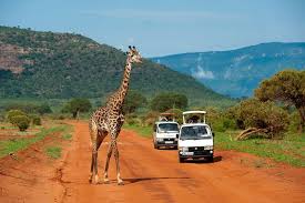 EXCUSIONS FROM MOMBASA