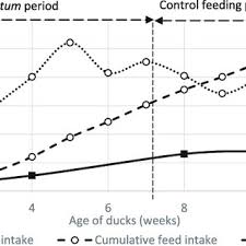 Duck foie gras these foie gras slices come from mulard duck. Pdf Evolution Of Liver Fattening And Foie Gras Technological Yield During The Overfeeding Period In Mule Duck