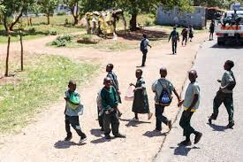 Zambia, which is officially the republic of zambia, is a landlocked country at the crossroads of central, southern and east africa. Zambia Facts For Kids Zambia Geography Attractions People