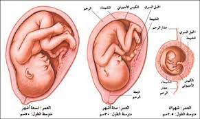 تحركات الجنين في الشهر الثامن افضل كيف