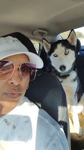 It's negative fifftyelevenbabbilion out with the wind chill... I know  because they had me out in it... gotta have our run.. and miss Athena  headed straight out the back door to lounge