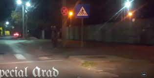 Si vei ramine vesnic floare. Domnul Mersi N Ai Pentru Ce Un Domn Afumat Bine Face Deliciul È™oferilor Pe Strada Poetului Dar O Face DrÄƒguÈ› Special Arad Ultimele È™tiri Din Arad