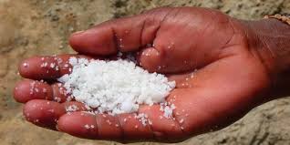 We did not find results for: Proses Pembuatan Garam Dari Air Laut Begini Langkah Langkahnya Merdeka Com