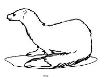 These free, printable animal coloring pages provide hours of fun for kids! Polar Animals Coloring Pages 1 Arctic And Antarctica