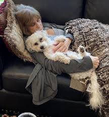 Find rescues groups dedicated to other dog breeds in michigan: Almost Home Animal Rescue League Reviews And Ratings W Bloomfield Mi Donate Volunteer Review Greatnonprofits