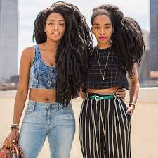 Jazz nicole starts by braiding her natural hair into box braids, and then braiding in braiding hair to each section. Identical Twin Sisters Start Urban Bush Babes And Embrace Natural Hair