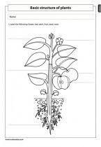 Term 1 E Classroom Science Worksheets Science And Nature 5th Grade Science