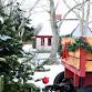 Holiday Festival at Taylor-Bray Farm event image