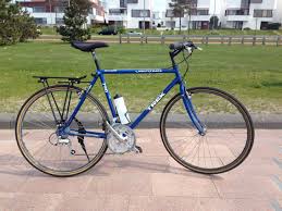 Trek Multitrack 790 Scheibe
