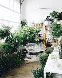 The second is to encourage children and adults to explore the world of indoor and. 30 Of The Cutest Plant Shops Around The World