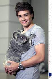 Liam payne appeared on the x factor in 2008. 1d S Liam Payne Moves In With Girlfriend