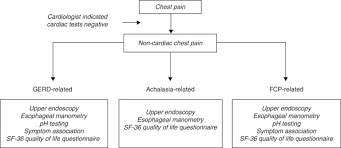 Clinical Assessment And Health Related Quality Of Life In Patients With Non Cardiac Chest Pain Sciencedirect