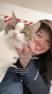 Largo Di Torre Argentina Cat Sanctuary in Rome, Italy
