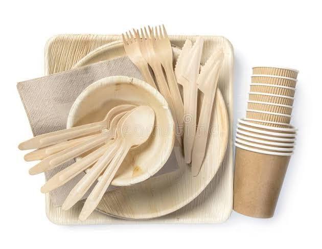 Disposal Tableware