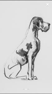 She began acting in theatre and film at an early age. Great Dane Patient And Friendly Zvirata Kresby Malba
