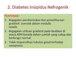 Sebelum lebih jauh, kita perlu mengetahui tentang diabetes insipidus. Diabetis Insipidus 1 Pengertian A Diabetes Insipidus Adalah Pengeluaran Cairan Dari Tubuh Dalam Jumlah Yang Banyak Yang Disebabkan Oleh Dua Hal Gagalnya Ppt Download
