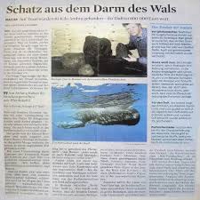 © 2021 dicom grid, inc (dba ambra health). Unbezahlbare Pottwal Ausscheidungen Pottwale