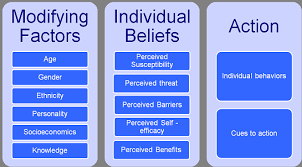 The Health Promotion Model Illustrates How Health Related Behaviors And Beliefs Promote Health Health Belief Model School Health Health Education