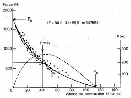 Quoi calculer la vitesse instantanee. Relation Force Vitesse Instantanee Hyperbolique Contractions Maximales Download Scientific Diagram