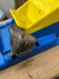 Image result for site:byggahus.se Accessa