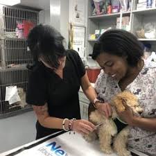 pet groomers in asheboro yelp