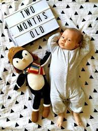 Monthly Baby Photo Ideas Track Your Baby S Age In Photos Baby Milestones Pictures Baby Milestone Photos Monthly Baby Pictures