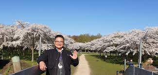 Nama taman sakura berkaitan dengan k. Taman Sakura Di Belanda Serbalanda Supirsantun Sahabat Wisata Di Eropa