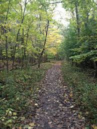 Thatcher Woods In The Fall Vacation Destinations River Forest Nature