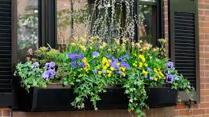 Mayne nantucket window box in black is not available for sale online. Window Box Ideas 16 Ways To Make A Stunning Display Full Of Flowers And Foliage Gardeningetc