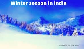 There is light rainfall in this region due to western disturbances. Winter Season In India All Information About Winter Season