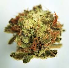 It is a combination of a gsc phenotype and starfighter. Cookies And Cream Og Clean Green Buy Marijuana Online