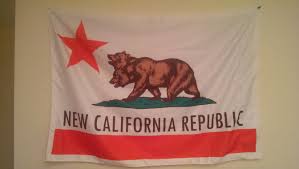 The ncr is in the process of implementing new status codes aligned to the guidelines and debt counsellors are advised not to update records with the status code h. My Ncr Flag Flying Proud In My Office Thanks To U Ofa20 For The Image Needed Fallout