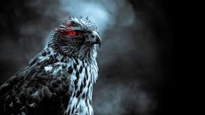 Grayscale Photo Of Eagle Birds Smoke Red Eyes Hd Wallpaper Wallpaper Flare Every day new pictures, screensavers, and only beautiful wallpapers for free. grayscale photo of eagle birds smoke