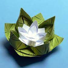 Zoomalia.es es la tienda para mascotas online a precios de escándalo que te ofrece más de 100 000 referencias en alimentación, comida, productos y accesorios para animales. Anleitungen Zum Falten Von Origami Pflanzen Und Blumen