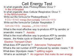 4) in what organelle does cellular respiration occur? Photosynthesis Its Not Always Greener O2o2 Co 2 Anthocyanins Carotene Xanthophylls Ppt Download