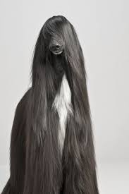Handsomedogs Afghan Hound Cute Animals Funny Animals
