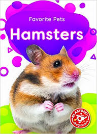 Ceramics are sculptured pieces crafted from clay and then hardened by heat. Hamsters Favorite Pets Blastoff Beginners Derek Zobel 9781644873168 Amazon Com Books