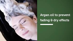 Amazon.com : e.fek.tiv beauty Inula Plus Argan Max Shine Color Preserving  Shampoo