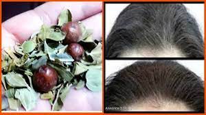 اتحدى بهذه الوصفة من يقول ان الشيب ليس له علاج وجرب بنفسك facial massage healthy hair hair styles