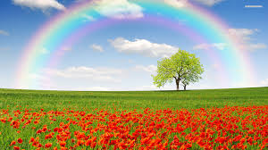 You can also upload and share your favorite rainbow backgrounds. Best Rainbow Background Id 402954 For High Resolution Hd 1080p Pc