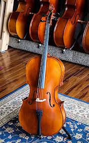 Thinking of renting a storage unit? St Louis Cello Rentals By Top Notch Violin Stores