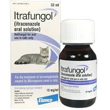 Itrafungol 10 Mg Ml 52 Ml Bottle