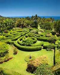 Kuai Hawaii Botanical Gardens This Place Was Amazing Kauai Vacation Kauai Hawaii Vacation