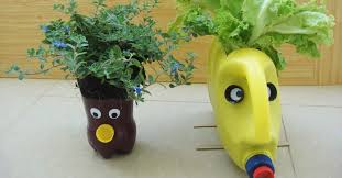 For years, i thought i was terrible at keeping indoor plants alive. Plastic Bottle Art Another Novel Craft Trends In Lockdown Lifestyle Decor English Manorama