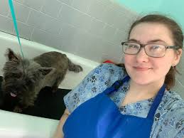 My Kissing Gouramis, Get yours at the Critter Center in Toccoa Ga..  #Crittercenter